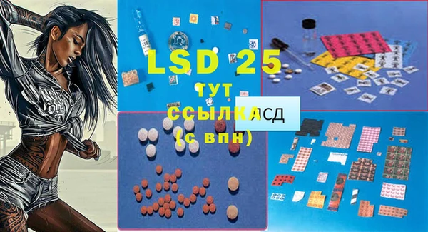 дурь Алзамай