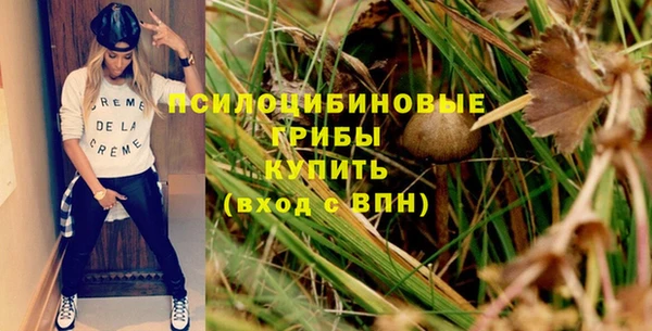 дурь Алзамай
