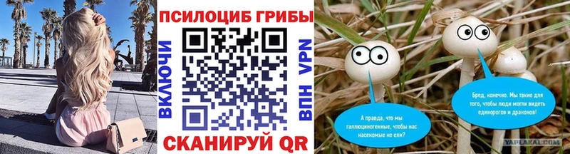 Псилоцибиновые грибы Psilocybine cubensis  Волгоград 
