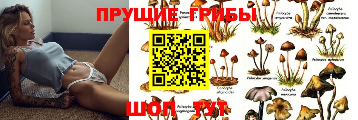 Галлюциногенные грибы GOLDEN TEACHER  Вход с VPN  Волгоград 